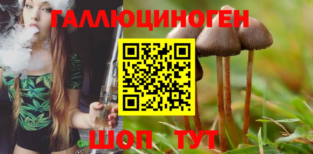Воткинск  Псилоцибиновые грибы MAGIC MUSHROOMS  Вход с VPN 